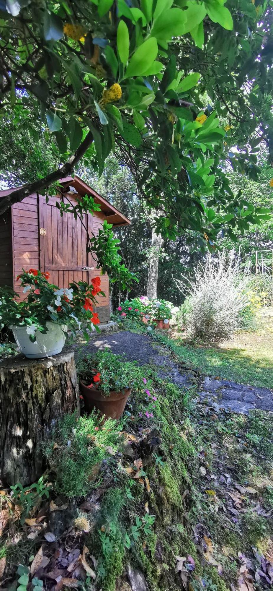 Mame Bed and Breakfast Bettona Buitenkant foto